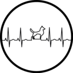 cardiologia clinica, electrocardiograma y ecocardiograma